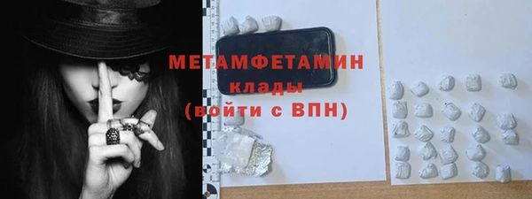 ПСИЛОЦИБИНОВЫЕ ГРИБЫ Михайлов
