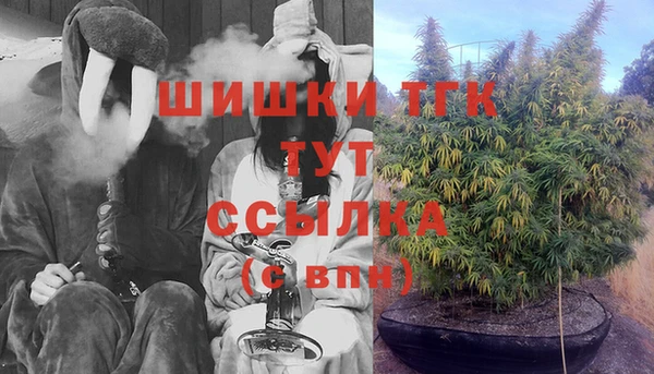 СК Верхний Тагил