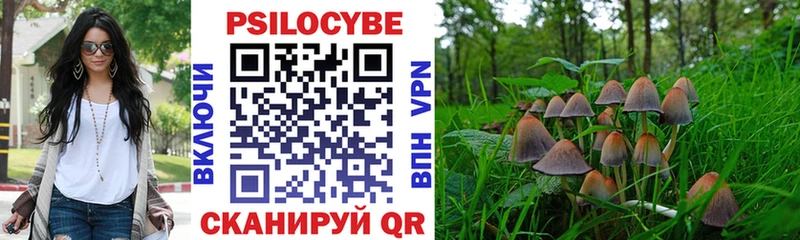 ссылка на мегу зеркало  Химки  Псилоцибиновые грибы Psilocybe 