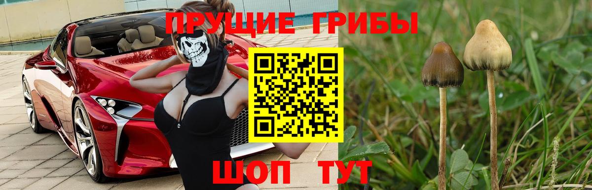 Галлюциногенные грибы Magic Shrooms Химки