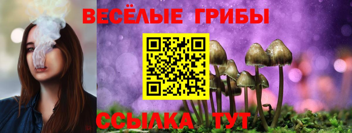 Псилоцибиновые грибы GOLDEN TEACHER  Псилоцибиновые грибы Psilocybe  Вход с VPN  Химки 